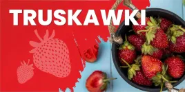 baner-reklamowy-truskawki-t2-laminowany-200x100-cm