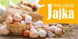 baner-reklamowy-jajka-wiejskie-jw1-laminowany-200x100-cm