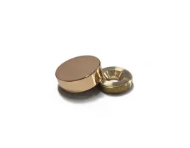 zaslepka-maskownica-wkreta-zlota-12mm-szyldy-lustra