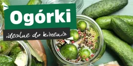 baner-reklamowy-ogorki-og2-laminowany-200x100-cm