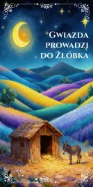baner-na-boze-narodzenie-1x2m-dekoracja-oltarza-bn4-tunele
