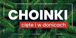 baner-reklamowy-sprzedaz-choinek-bch5-laminowany-200x100-cm