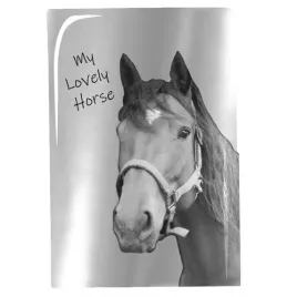 paso-notes-z-lustrzana-okladka-a5-kon-lovely-horse