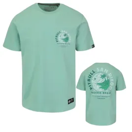 pitbull-west-coast-t-shirt-koszulka-meska-planet-surf-light-mint-xl
