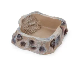 miseczka-miska-dla-gadow-do-terrarium-mala-8x8x3cm