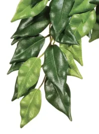 exo-terra-roslina-wiszaca-fikus-70cm-wystroj-terra