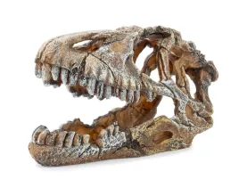 kryjowka-ozdoba-terrarium-czaszka-dinozaura-22-cm
