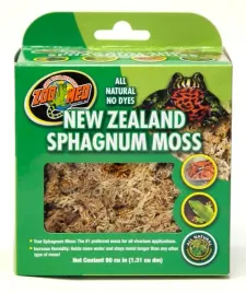 zoomed-sphagnum-moss-mech-torfowiec-spagnum-zaba