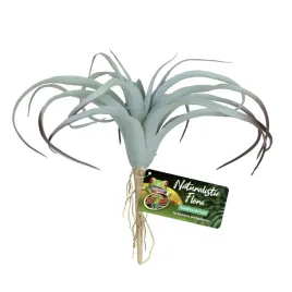 zoo-med-sztuczna-tillandsia-wystroj-terrarium