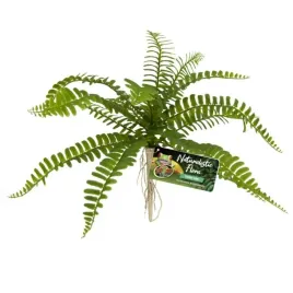 zoo-med-sword-fern-sztuczna-roslina-paproc-paprotka-wystroj-terrarium