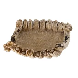 rep-dish-bones-miska-do-terrarium-13x13x4-cm