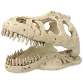 repti-planet-ozdoba-do-terrarium-i-akwarium-czaszka-dinozaura-t-rex