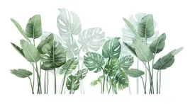naklejka-scienna-liscie-monstera-9030-cm-dekoracja-tropikalna-osaladi