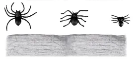 bieznik-na-halloween-60x400cm-dekoracja-stolu-pajaki-12-szt
