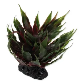 repti-planet-roslina-ozdobna-wystroj-terrarium-sukulent-agawa-14x16-cm