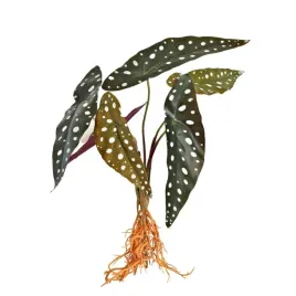 sztuczna-roslina-z-korzeniami-uszy-slonia-wystroj-terrarium-35-cm