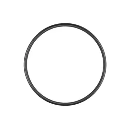 pierscien-uszczelniajacy-uszczelka-51mm-nbr-do-pomp-i-filtrow-10szt