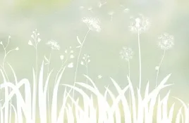 folia-okienna-samoprzylepna-mniszek-lekarski-90x200-cm