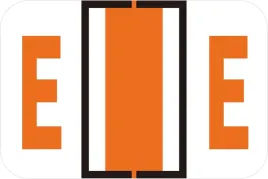 etykiety-samoprzylepne-do-teczek-240-szt-e-luter-alfabet-do-organizacji