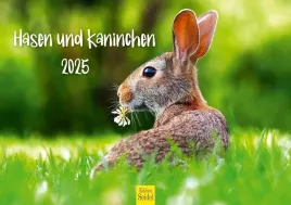 kalendarz-scienny-2025-zajaczki-format-din-a3-edition-seidel
