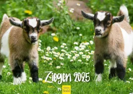 kalendarz-scienny-2025-kozy-format-din-a3-edition-seidel