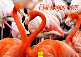 kalendarz-scienny-2025-flamingi-format-din-a3-edition-seidel