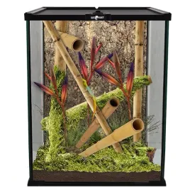repti-planet-terrarium-szklane-dla-patyczakow-modliszki-20x20x30-cm