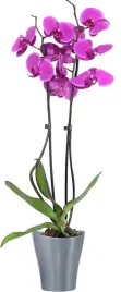doniczki-do-storczykow-garten-lux-3x-2l-16-cm-antracyt-z-drenazem