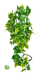 zoo-med-mexican-phyllo-medium-roslina-sztuczna-wystroj-terrarium-46-cm