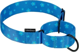 obroza-dla-psa-niebieska-w-kwiatki-38-50-cm