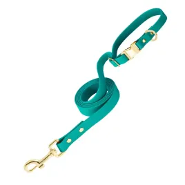 smycz-wodoodporna-dla-psa-petbonus-treningowa-mocna-1-5m-mietowa-do-45kg