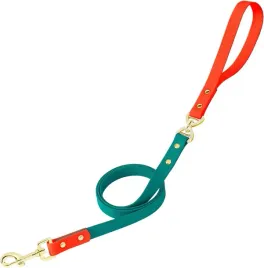 smycz-wodoodporna-dla-psa-petbonus-treningowa-mocna-1-5m-mietowa-do-15kg