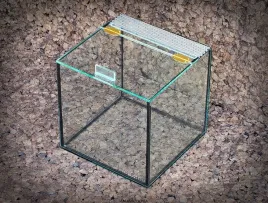 am-amazoonia-terrarium-szklane-30x30x30-cm