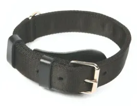 wytrzymala-obroza-z-klamra-dla-silnego-psa-dingo-4cm-55-65cm-czarna