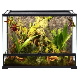 repti-planet-terrarium-szklane-60-x-45-x-45-cm-lodz-brukowa
