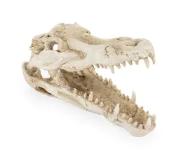 happet-czaszka-krokodyla-wystroj-terrarium-akwarium-23-x-105-x-155-cm