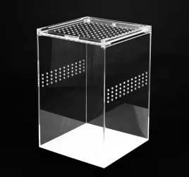 terrarium-akrylowe-pionowe-dla-ptasznika-modliszki-15-x-15-x-23-cm