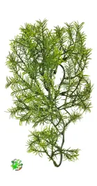 zoo-med-cashuarina-m-roslina-sztuczna-wiszaca-wystroj-terrarium-46-cm