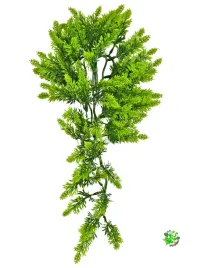 zoo-med-malaysian-fern-m-roslina-sztuczna-wiszaca-wystroj-terrarium-46-cm