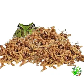 mech-torfowiec-spagnum-sphagnum-dla-zaby-do-ukorzeniania-roslin-500-g