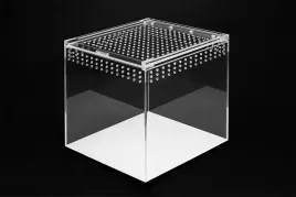 terrarium-akrylowe-zamykane-na-magnes-dla-ptasznika-20-x-20-x-20-cm