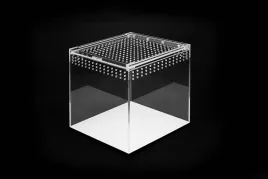 terrarium-akrylowe-zamykane-na-magnes-dla-ptasznika-15-x-15-x-15-cm