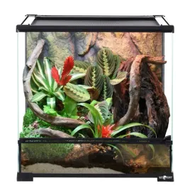 repti-planet-terrarium-szklane-premium-60-x-45-x-60-cm-lodz-brukowa