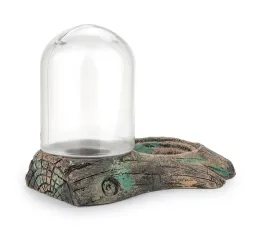 happet-poidlo-w-skale-miska-do-terrarium