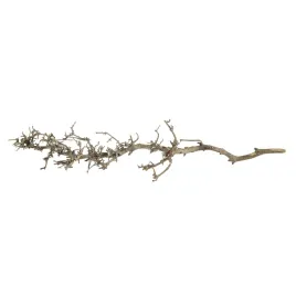 korzen-poludniowy-do-terrarium-i-akwarium-s-25-35-cm