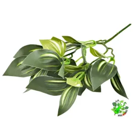 am-amazoonia-trzykrotka-ciemna-zielen-wystroj-terrarium-32-cm