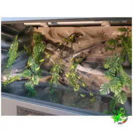 terrarium-z-plyty-meblowej-antracyt-ze-scianka-piaskowa-120x50x50-cm-lodz