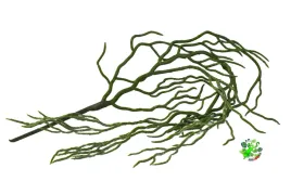 am-amazoonia-korzenie-storczyka-zwis-wystroj-terrarium-78-cm