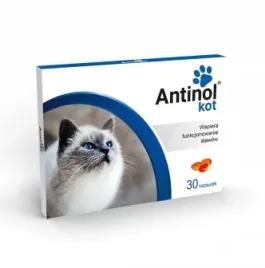 biovico-antinol-sizarol-kot-30-kapsulek-na-stawy
