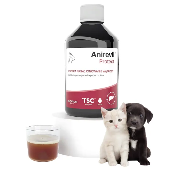 Anirevil Protect Płyn 250ml Wsparcie Ochrona Wątroby Psa I Kota Biovico